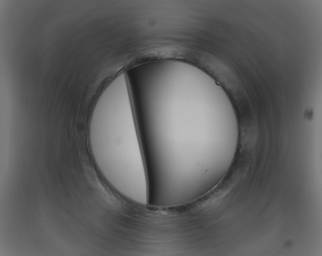 X0000093560453200710150959