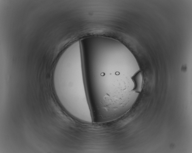 X0000093560454200710150959
