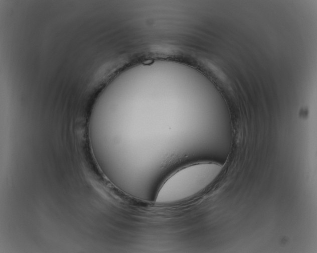 X0000093560455200710150959