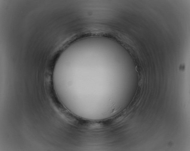 X0000093560456200710151000