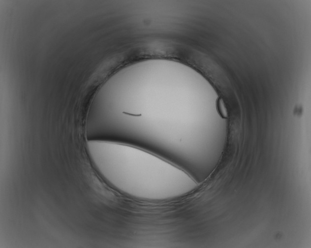 X0000093560457200710151000