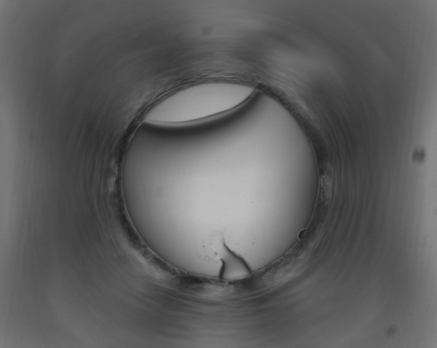 X0000093560458200710151000