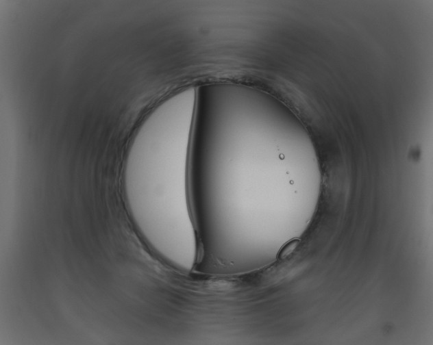 X0000093560462200710151000