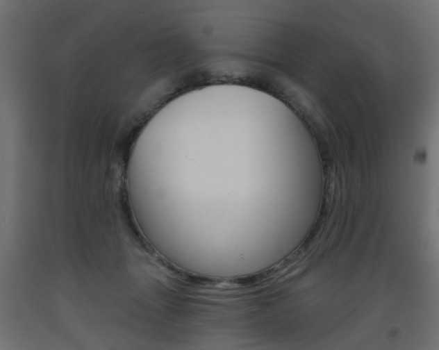 X0000093560463200710151000