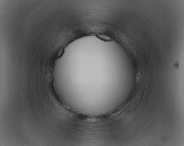 X0000093560464200710151000