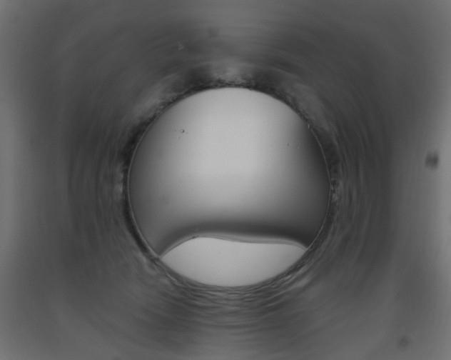 X0000093560466200710151000