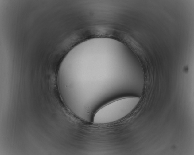X0000093560469200710151000