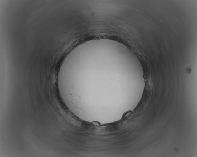 X0000093560472200710151000