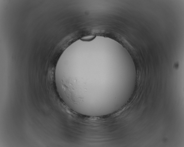 X0000093560475200710151000