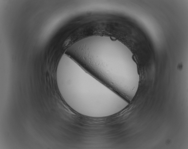 X0000093560479200710151000