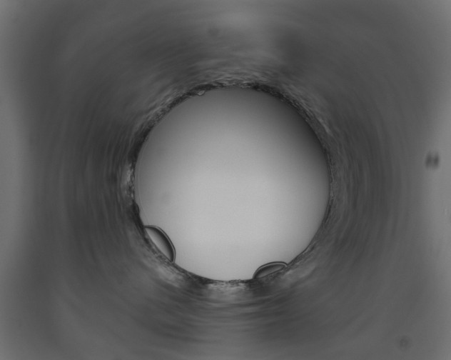 X0000093560480200710151000
