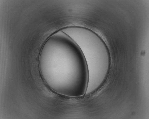 X0000093560481200710150959