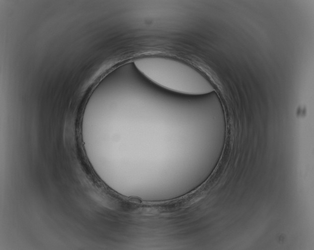 X0000093560482200710150959
