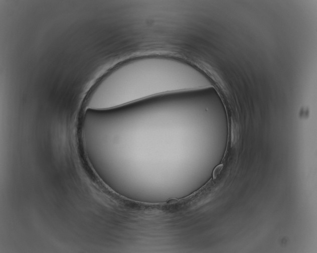 X0000093560483200710150959