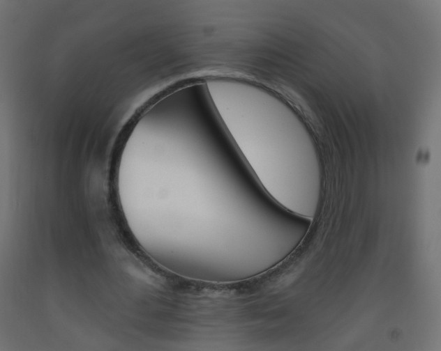 X0000093560484200710150959