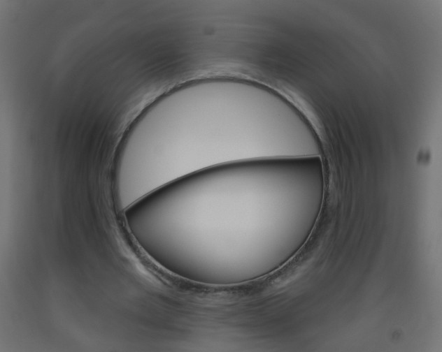 X0000093560485200710150959
