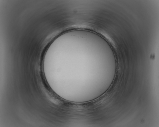 X0000093560486200710150959