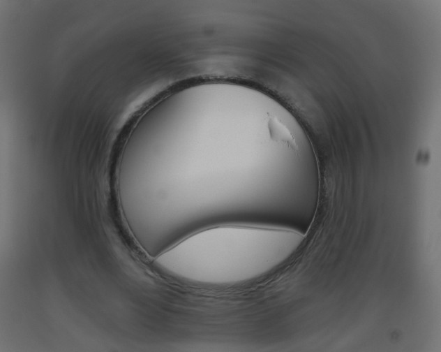 X0000093560488200710150959