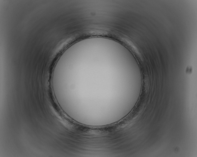 X0000093560490200710150959