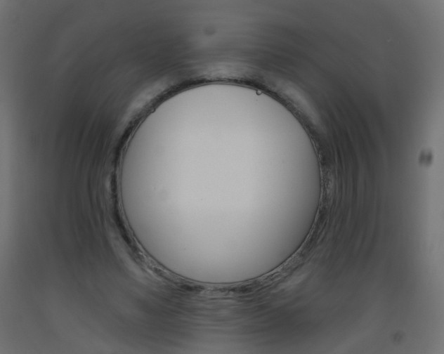 X0000093560491200710150959