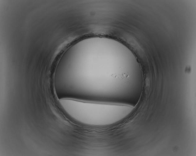 X0000093560492200710150959
