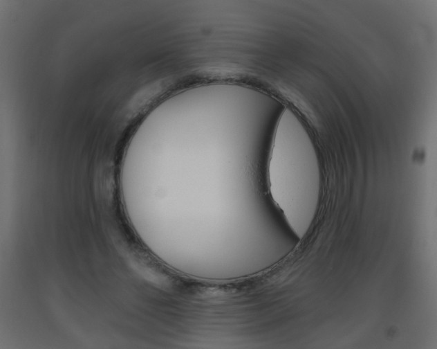 X0000093560494200710150959