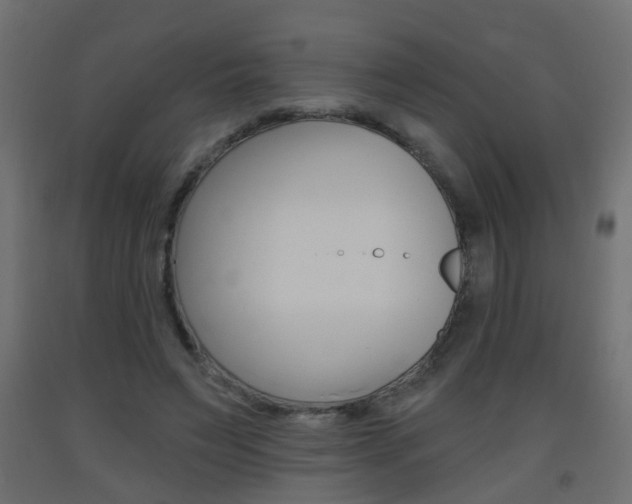 X0000093560495200710150959