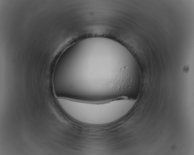 X0000093560496200710150959
