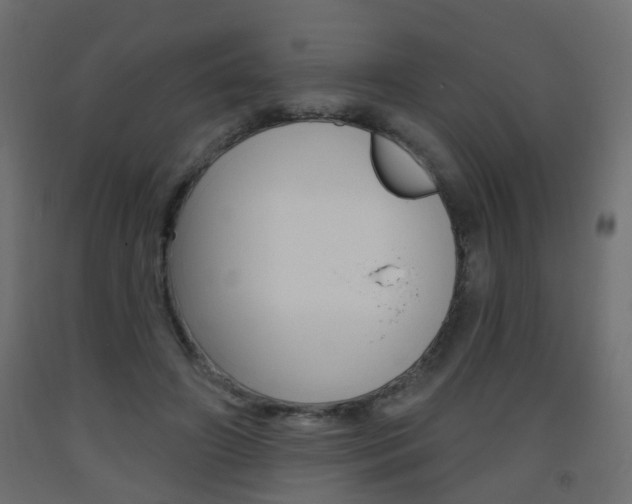 X0000093560498200710150959