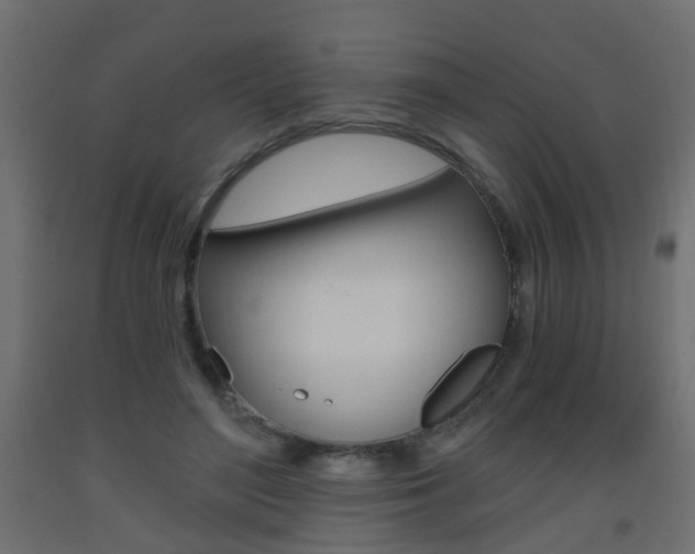 X0000093560500200710150959