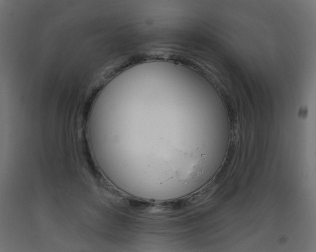 X0000093560504200710150959