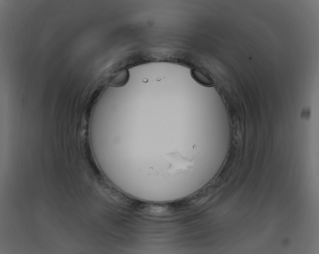 X0000093560507200710150959