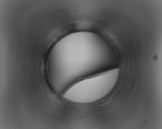 X0000093560508200710150959