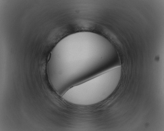 X0000093560509200710150959
