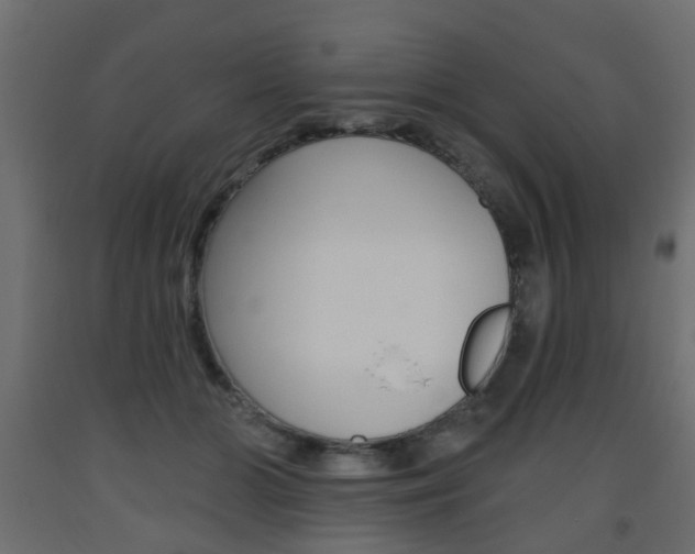X0000093560510200710150959
