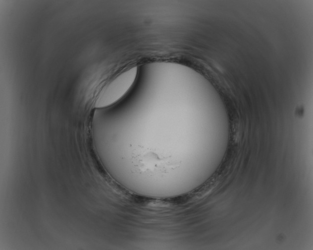 X0000093560515200710150959