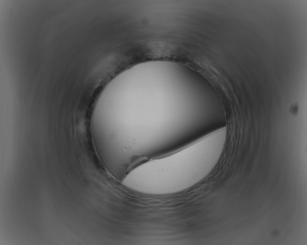 X0000093560516200710150959