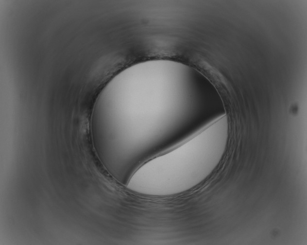 X0000093560517200710150959