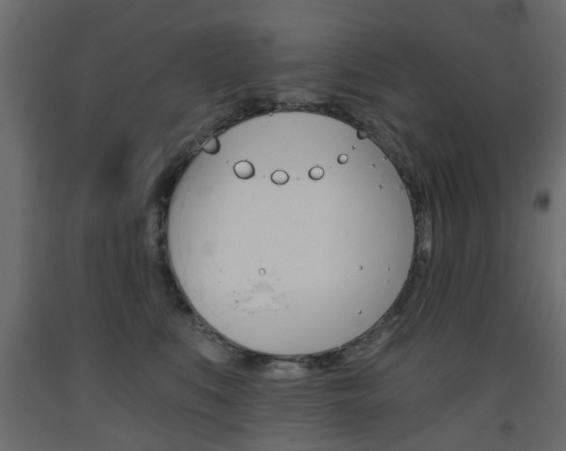 X0000093560519200710150959