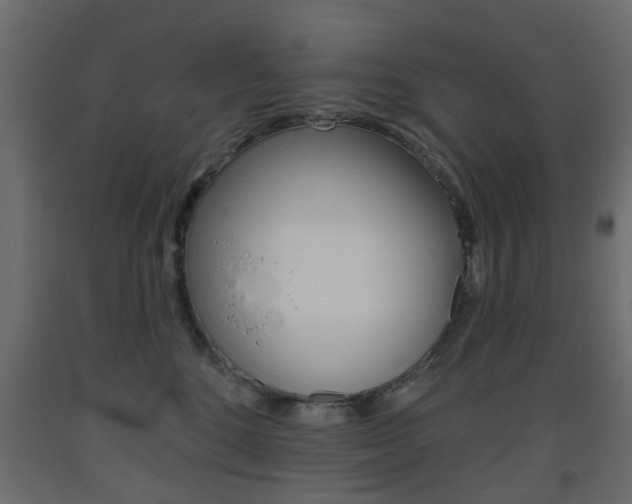 X0000093560520200710150959