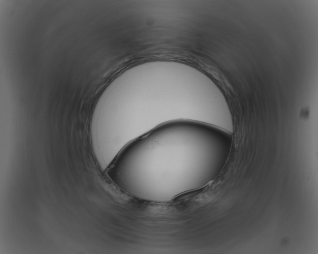 X0000093560521200710150959