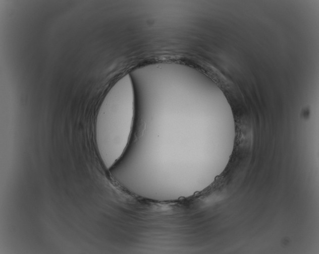 X0000093560523200710150959
