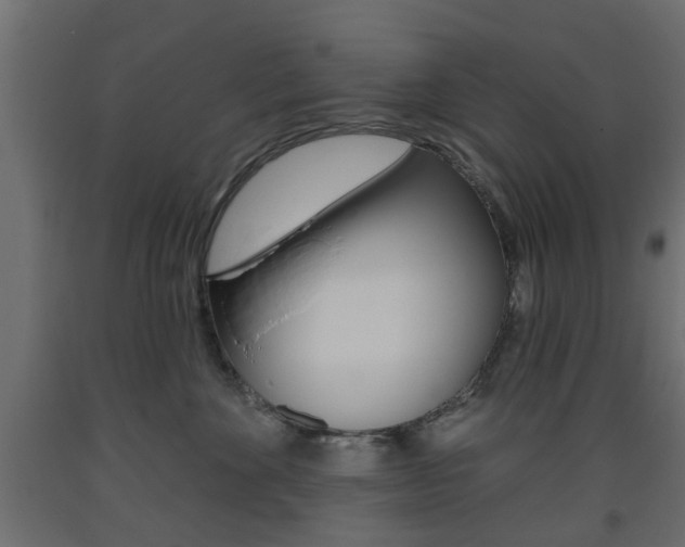 X0000093560524200710150959