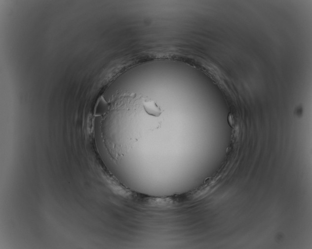 X0000093560525200710150959
