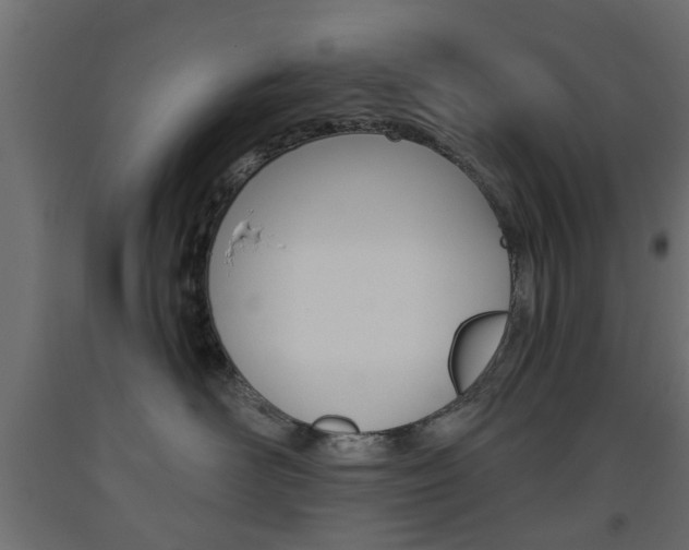 X0000093560526200710150959