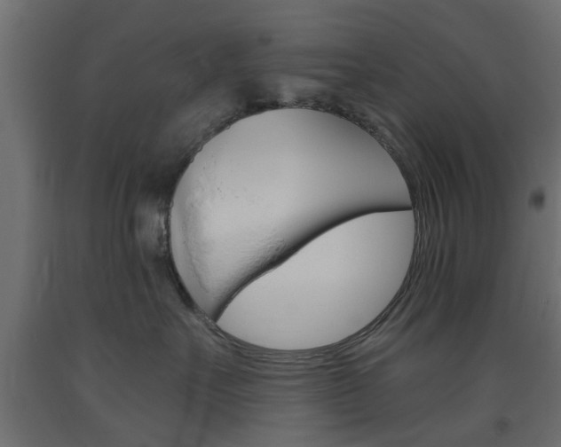 X0000093560527200710150959