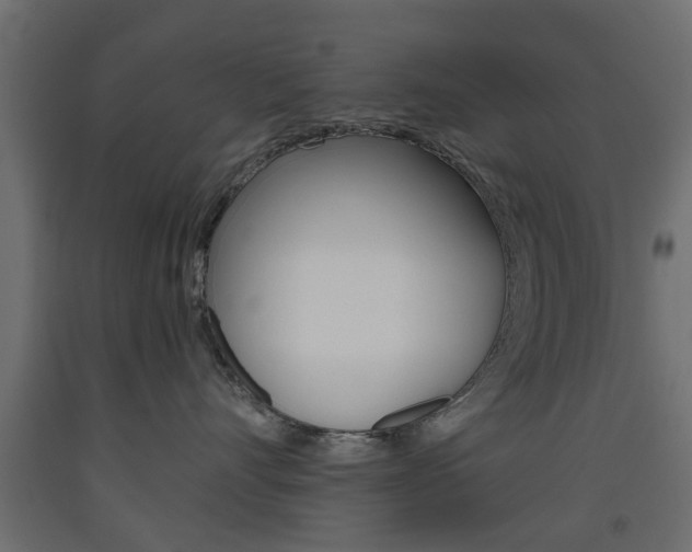 X0000093560528200710150959