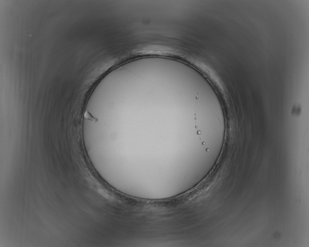 X0000093560529200710150958