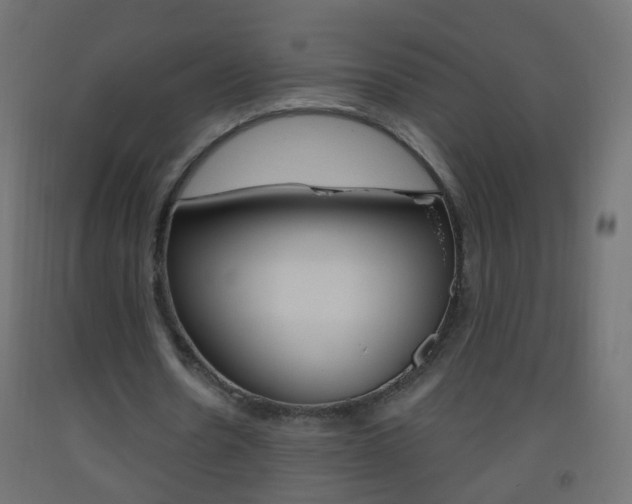 X0000093560530200710150958