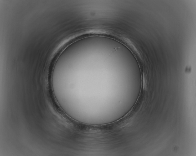 X0000093560531200710150958